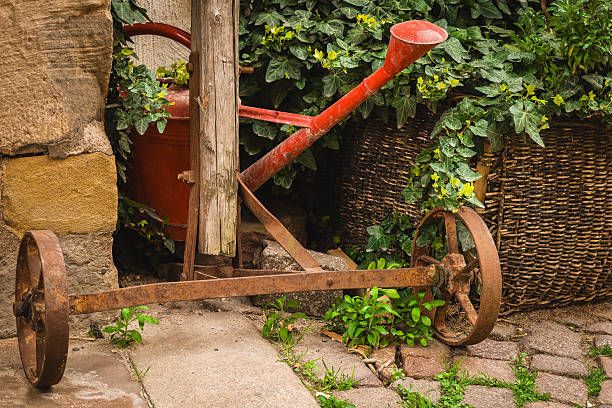 A rustic wheelbarrow stands idle beside a vintage watering can, surrounded by lush green foliage and a woven basket, showcasing the charm of an old garden.