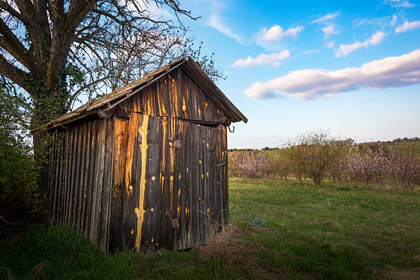 Abandoned Hut on fields in Burgenland