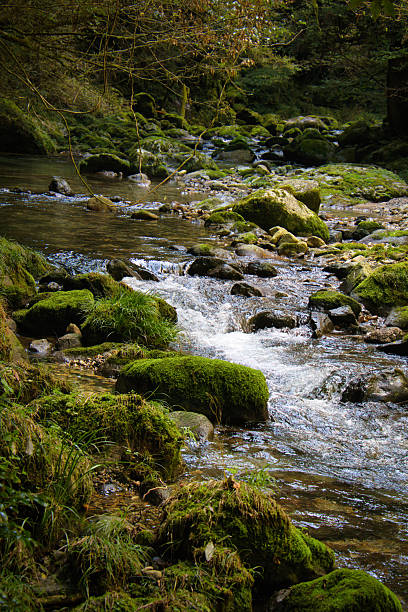 istock The beautiful, clear, blue murmur of a mountain stream 2207960326
