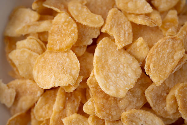 istock Close-up of garlic chips 2207961424