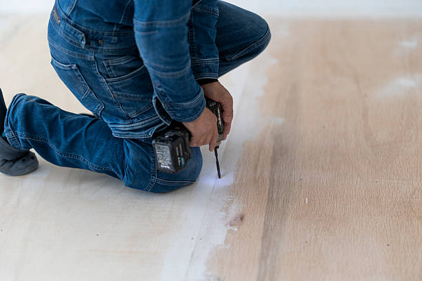 istock Professional Craftsman Installing Cushion Floor – Home Renovation Work 2207962822