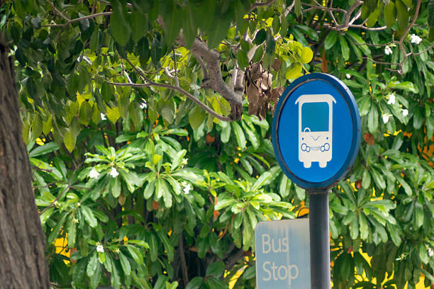 A vibrant bus stop sign surrounded by lush greenery. The blue circular sign features a simple bus graphic, indicating a transit point in a city area.