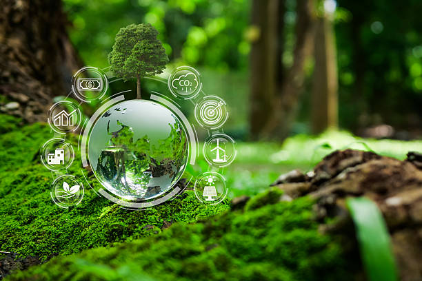istock Represents environmental sustainability, featuring a reflective globe with a tree and eco-friendly icons. It highlights green energy, carbon reduction and nature conservation. eco-innovation concepts. 2207968838
