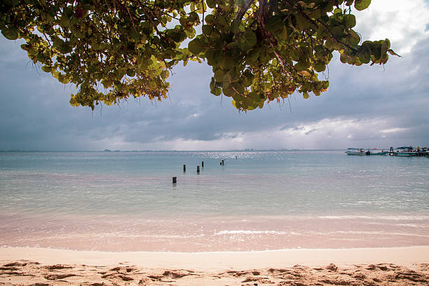 Stunning view of a tropical beach with pink sand, turquoise water and cloudy sky