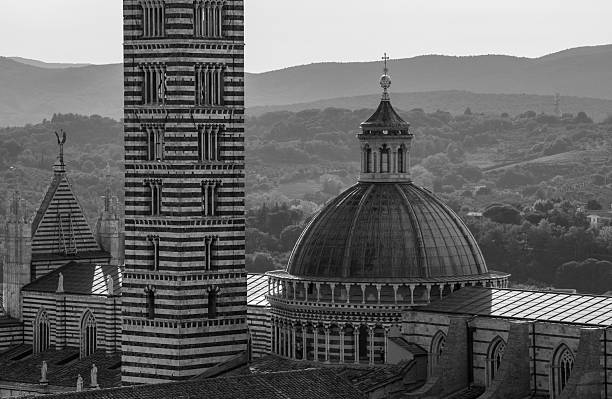 Sienna roof tops