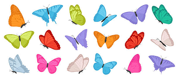 istock Set of bright flying butterflies. Decorative spring and summer insect collection. Vector illustration. 2207974752