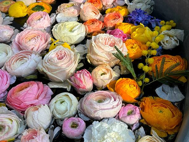 istock Beautiful flowers roses, ranunculus and other blooms. 2207975312