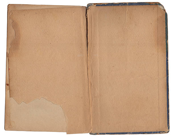 istock Vintage empty background of old book paper texture isolated 2207976450