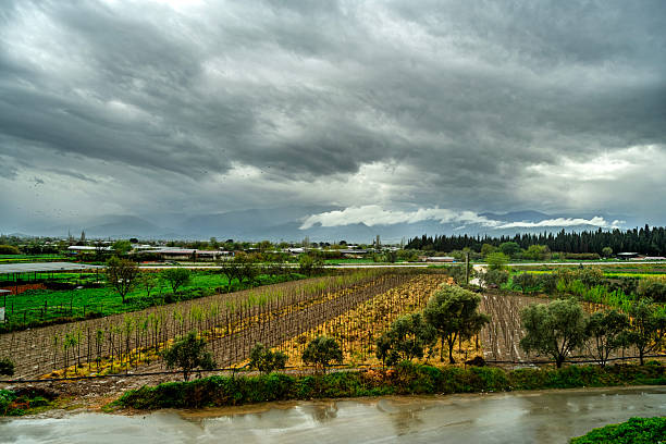 clouds and field on a rainy day