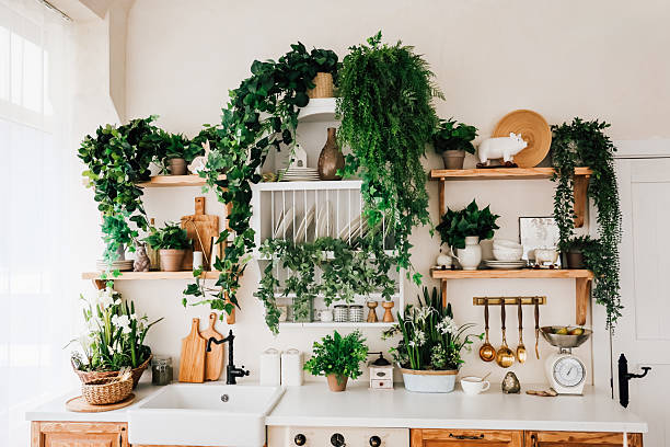 istock Kitchen interior filled with green plants and rustic decor creates a lively atmosphere 2207979144