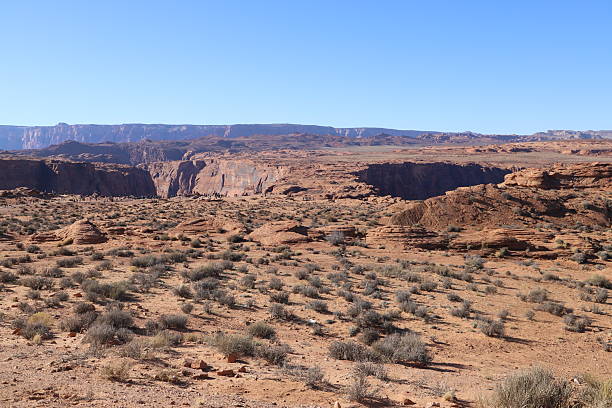 istock A wide shot of Arizona desert 2207980202