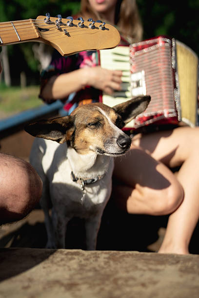 istock Musicians playing instruments next to a dog enjoying music 2207980630