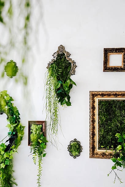 istock Indoor wall decor featuring green plants in decorative frames for a vibrant atmosphere 2207980638