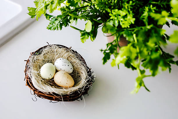 A small nest containing three speckled eggs rests among lush greenery on a bright surface, showcasing springtime beauty.