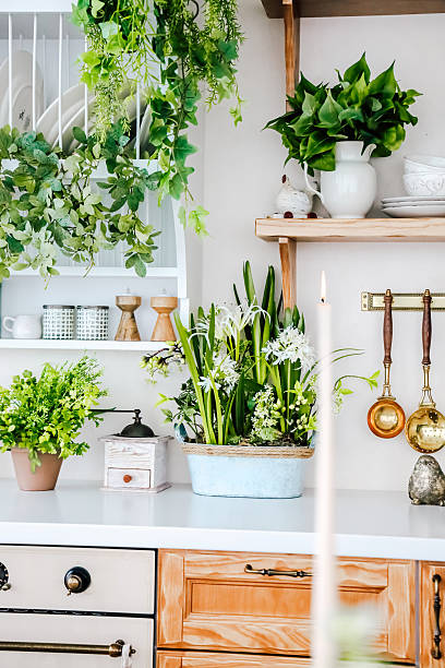 istock Lively kitchen decor featuring plants and natural elements in a modern living space 2207984251