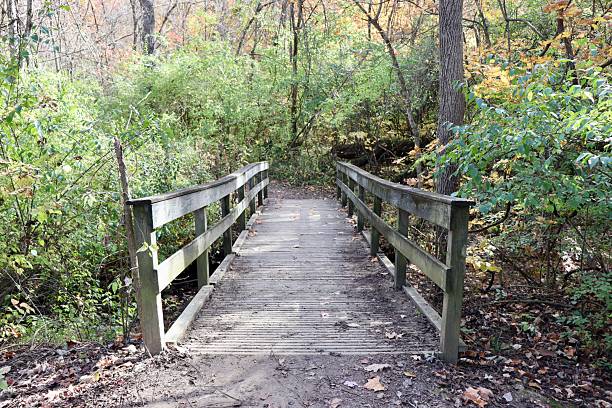 istock Front of the Wood Bridge 2207984693