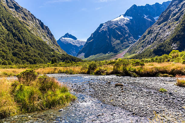 930+ Road To Milford Sound Stock Photos, Pictures & Royalty-Free