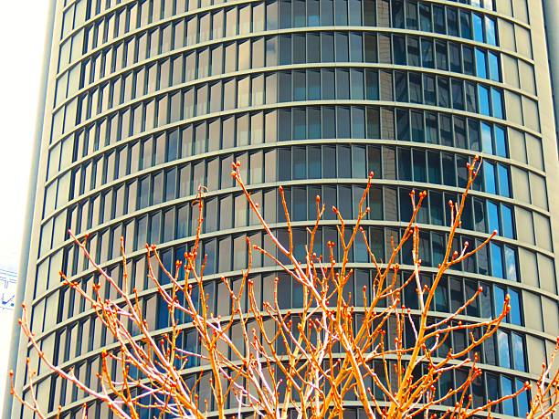 Skyscraper - glass building .Corporate Buildings. Skyscraper located in Madrid city, Spain. Interesting reflections in the glass windows of a building.Paseo de la castellana, main avenue of the city of Madrid from north to south, Spain