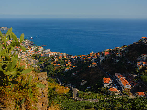 High angle view of Funchal in Madeira