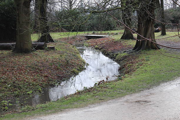 istock Small curvy lake in a woodland 2207995899