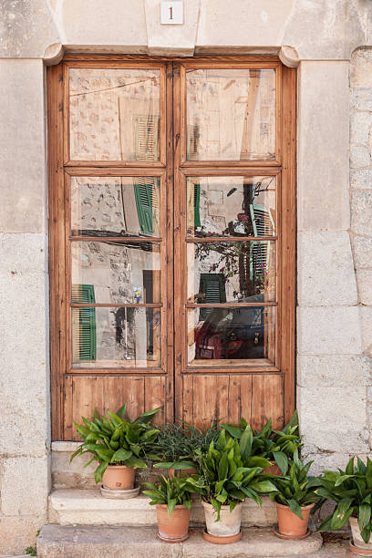 istock Rustic Wooden Double Doors with Plants in Pots 2207996219