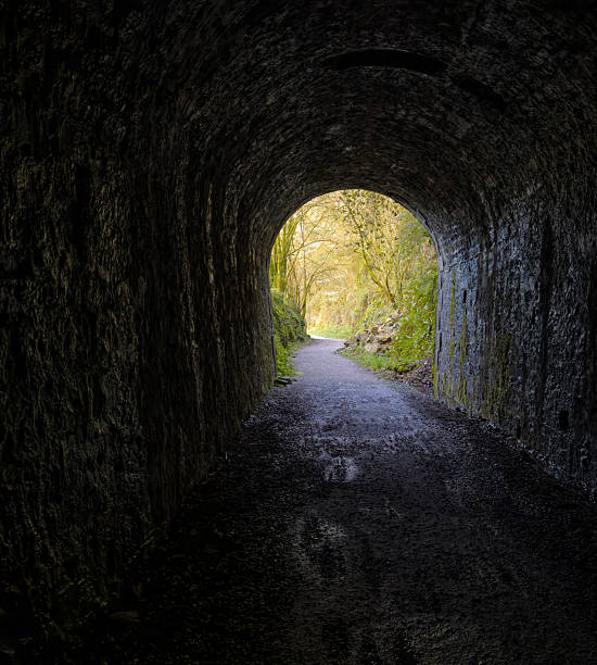 istock Hiking trail emerging from dark stone tunnel in lush green forest. 2207998250