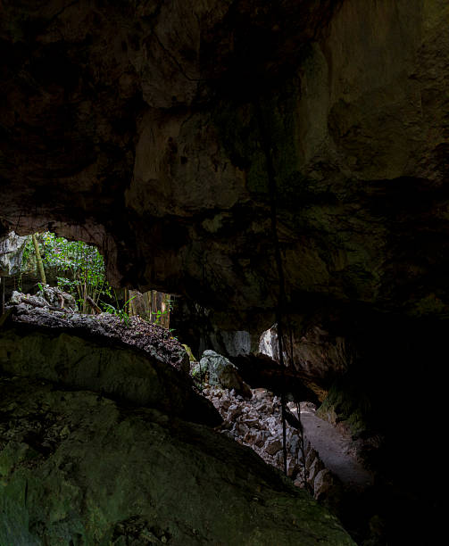 istock Exploring the mystical gran cenote in tulum, mexico 2208000126