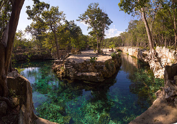 istock Cenote carwash reflecting lush vegetation in tulum, mexico 2208001099