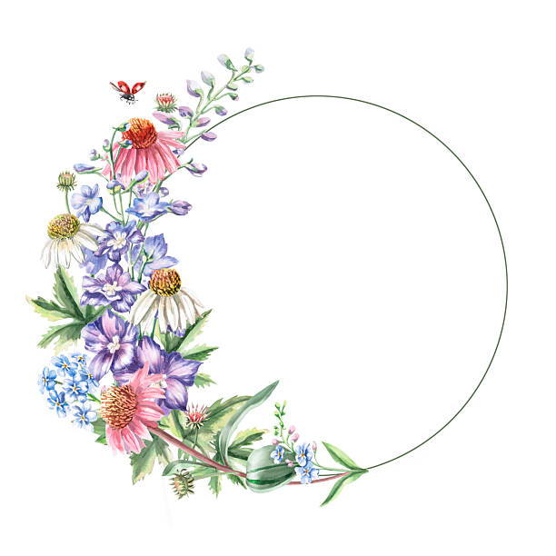 istock Round frame with bouquet of delphinium, echinacea and forget-me-nots. Isolated watercolor illustration of garden flowers for design of cosmetic products, printing on posters, clothes 2208002943