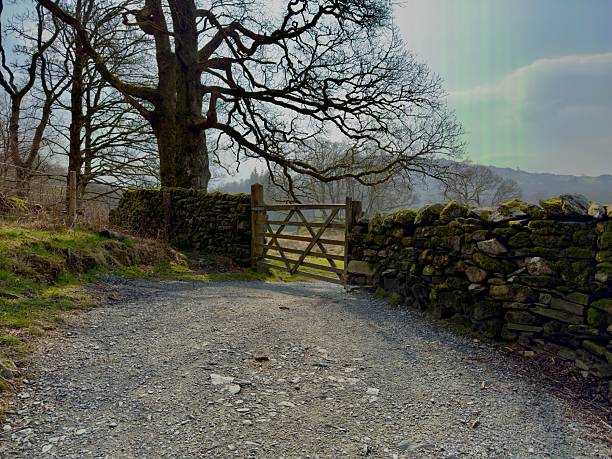 Wooden gate with moss-covered dry stone wall in spring countryside