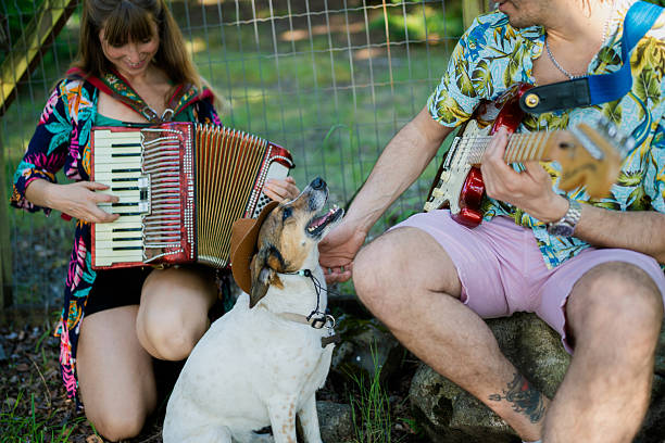 istock Musicians playing music with their dog wearing a hat 2208006824