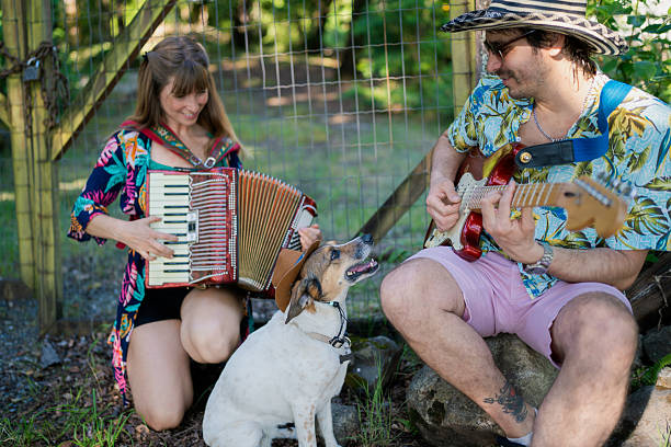 istock Musicians playing music with their dog wearing a hat 2208006920
