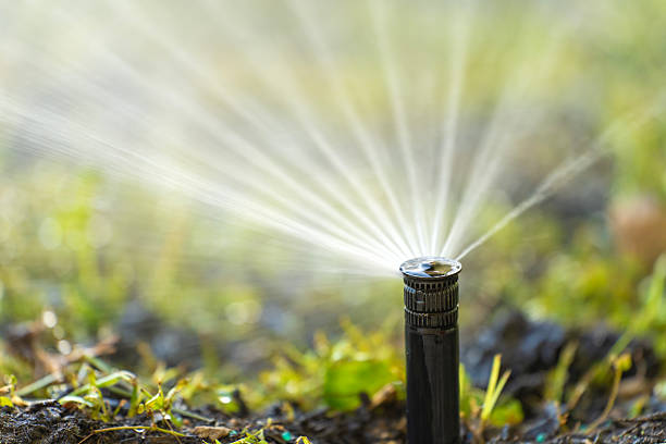 istock Sprinkler watering lawn grass during dry season 2208007061