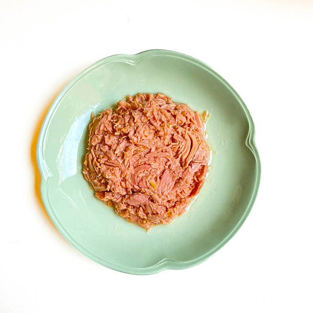 Canned tuna in water served on green plate ready to eat