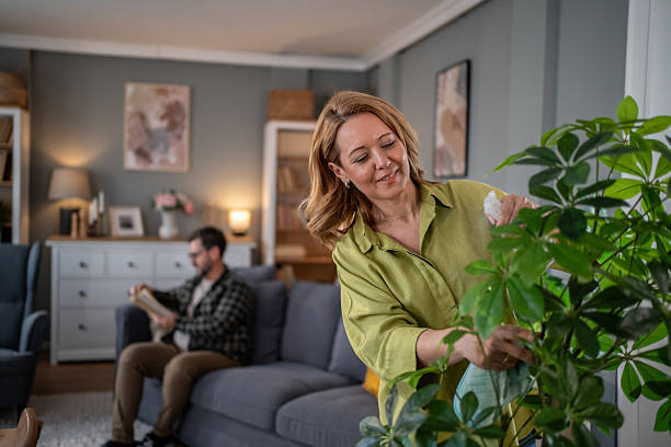 istock Woman watering plants while man reading on sofa in background 2208009383