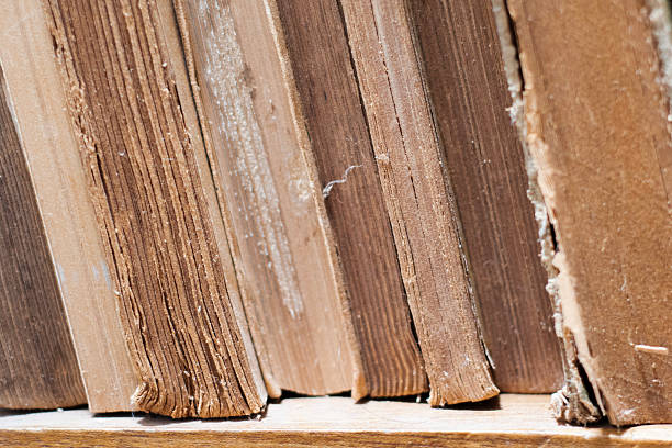 Close-up of old books with frayed edges and worn spines, lined on a wooden shelf. Highlights vintage charm and timeless appeal, perfect for themes of history, nostalgia, and antique decor.