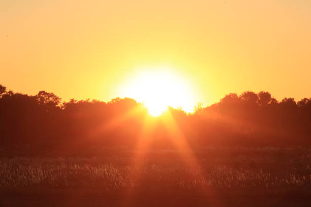 Plant City Sunset