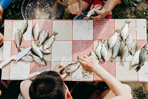 One young Caucasian brunette man cleans a river fish from scales in the head area with a knife, sitting on a small bench at a table in the yard on a summer day, close-up top view. Concept of time to cook fish, village lifestyle.