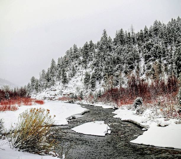 Winter Scene - Colorful Colorado - River - Mountain Forest - Snow - Winter Weather - Western USA - Uncompahgre National Forest