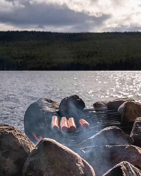 Roasting Hot dog Sausages Over a Stone Campfire by a Lake in Summer Sweden