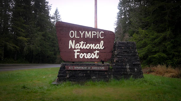 istock Olympic National Forest Signage 2208020388