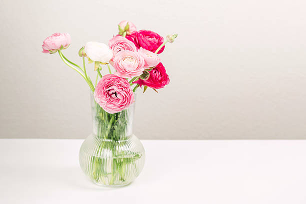 istock Pink ranunculus flowers arranged in a clear vase, spring flowers 2208021396