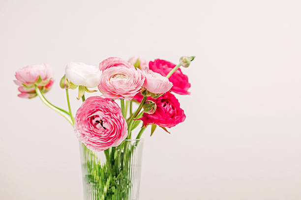 Directly above shot of red ranunculus flowers on table in dreamy lomo photography style on rustic wooden table, lomo photograhy embraces imperfection and a quirky style, lens and color distortions are the prominent features of this technique - lifestyle, concepts & ideas