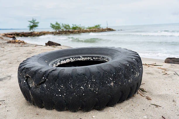 Abandoned car tire on the beach of Island 22 Regional Park in Chilliwack, British Columbia, Canada.