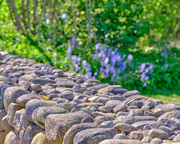 A rustic stone wall surrounded by lush green foliage and blooming purple flowers under warm sunlight, capturing a serene natural setting.
