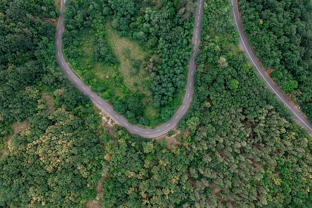 istock Curved road cutting through lush forest landscape 2208028169