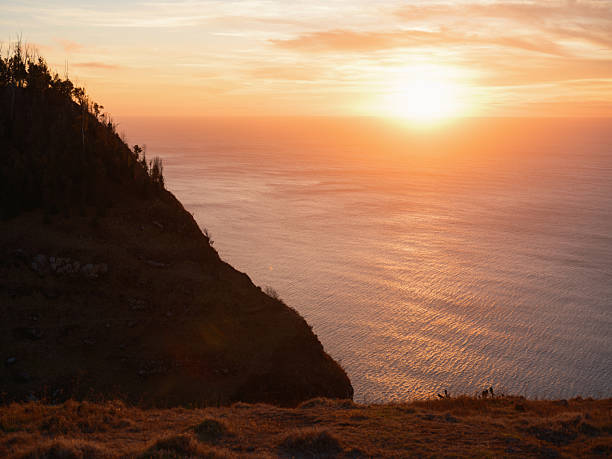 Epic views of Madeira East coast and Atlantic Ocean