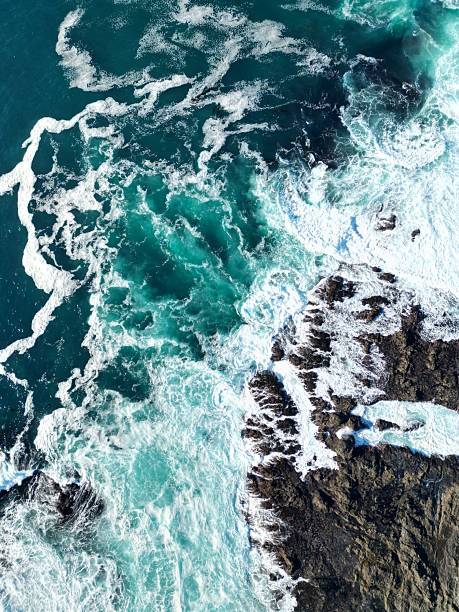 istock Where the Ocean Writes in Foam 2208039754