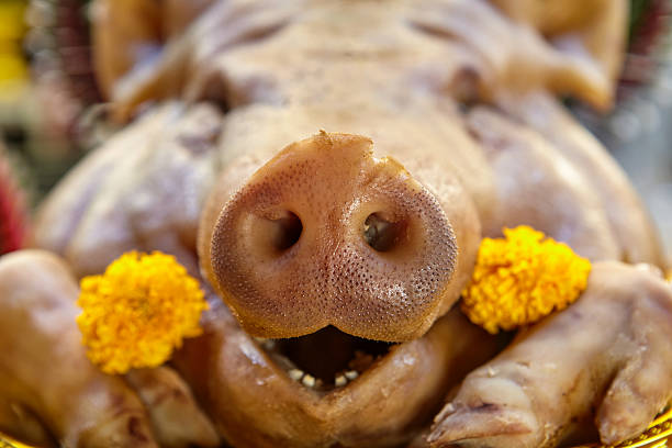 Roasted pig’s head for offerings to pay respect god in Bangkok, Bangkok, Thailand