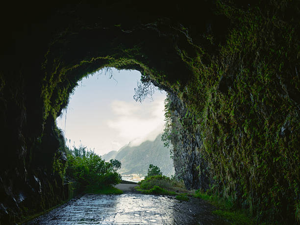 istock Mossy tunnel with light at the end on Madeira island 2208041893